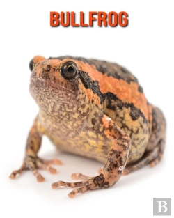 Bertrand.pt - Bullfrog
