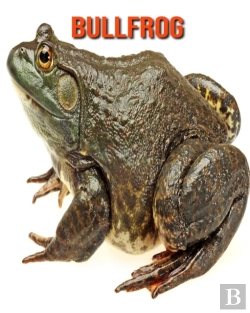 Bertrand.pt - Bullfrog