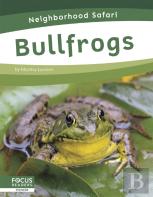 Bullfrogs