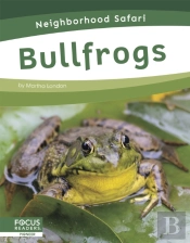 Bullfrogs