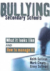 Bullying In Secondary Schools