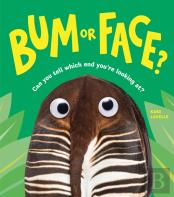 Bum Or Face