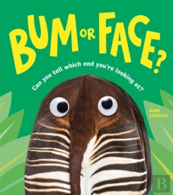 Bertrand.pt - Bum Or Face