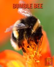 Bumble Bee