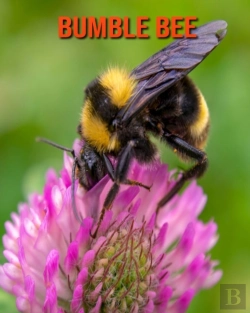 Bertrand.pt - Bumble Bee