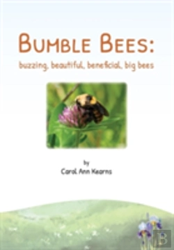 Bertrand.pt - Bumble Bees