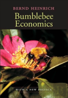 Bumblebee Economics