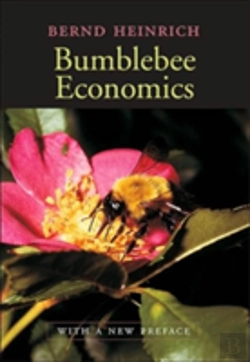 Bertrand.pt - Bumblebee Economics