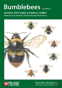 Bertrand.pt - Bumblebees