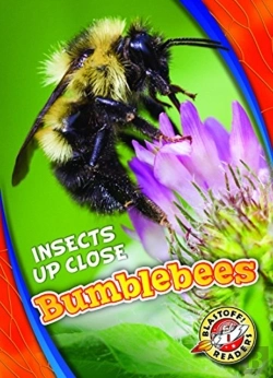 Bertrand.pt - Bumblebees