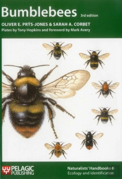 Bertrand.pt - Bumblebees