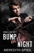 Bump In The Night (Medium At Large Book 1)