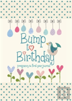 Bump To Birthday, Pregnancy & First Year Journal