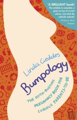Bertrand.pt - Bumpology