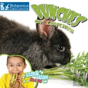 Bunches Of Lunches