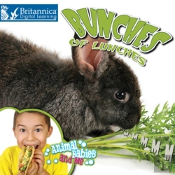 Bertrand.pt - Bunches Of Lunches