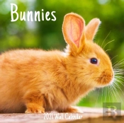 Bunnies 2021 Wall Calendar