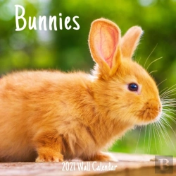 Bertrand.pt - Bunnies 2021 Wall Calendar