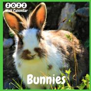 Bunnies 2022 Wall Calendar