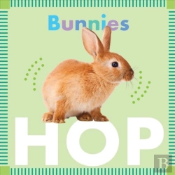 Bertrand.pt - Bunnies Hop