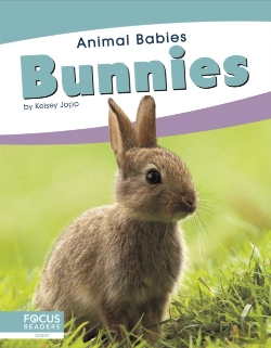 Bertrand.pt - Bunnies