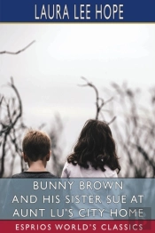 Bunny Brown And His Sister Sue At Aunt Lu'S City Home (Esprios Classics)