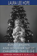 Bunny Brown And His Sister Sue At Christmas Tree Cove (Esprios Classics)