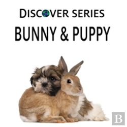 Bertrand.pt - Bunny & Puppy