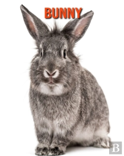 Bertrand.pt - Bunny