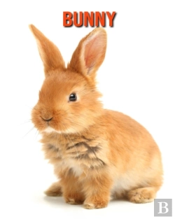 Bertrand.pt - Bunny