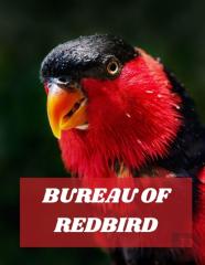 Bureau Of Redbird