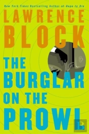 Burglar On The Prowl