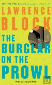 Burglar On The Prowl