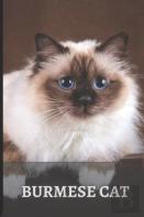 Burmese Cat