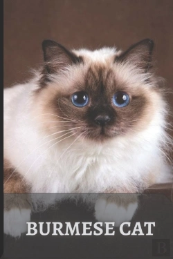 Bertrand.pt - Burmese Cat