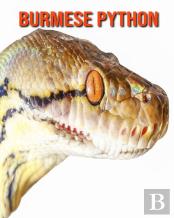 Burmese Python