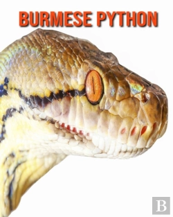 Bertrand.pt - Burmese Python