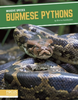 Bertrand.pt - Burmese Pythons