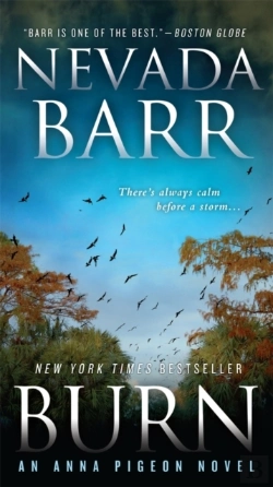 Bertrand.pt - Burn (Anna Pigeon Mysteries, Book 16)
