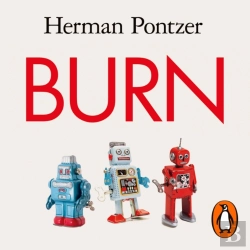 Bertrand.pt - Burn