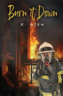 Burn It Down