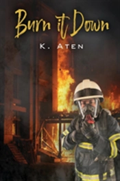 Burn It Down