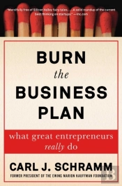 Burn The Business Plan