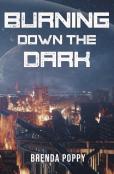 Burning Down The Dark