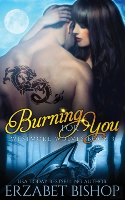 Bertrand.pt - Burning For You