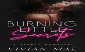 Burning Little Secrets
