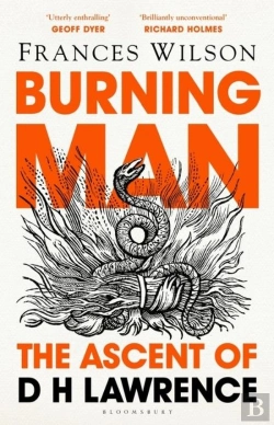 Bertrand.pt - Burning Man