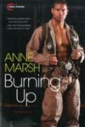 Burning Up