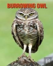 Burrowing Owl