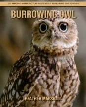 Burrowing Owl